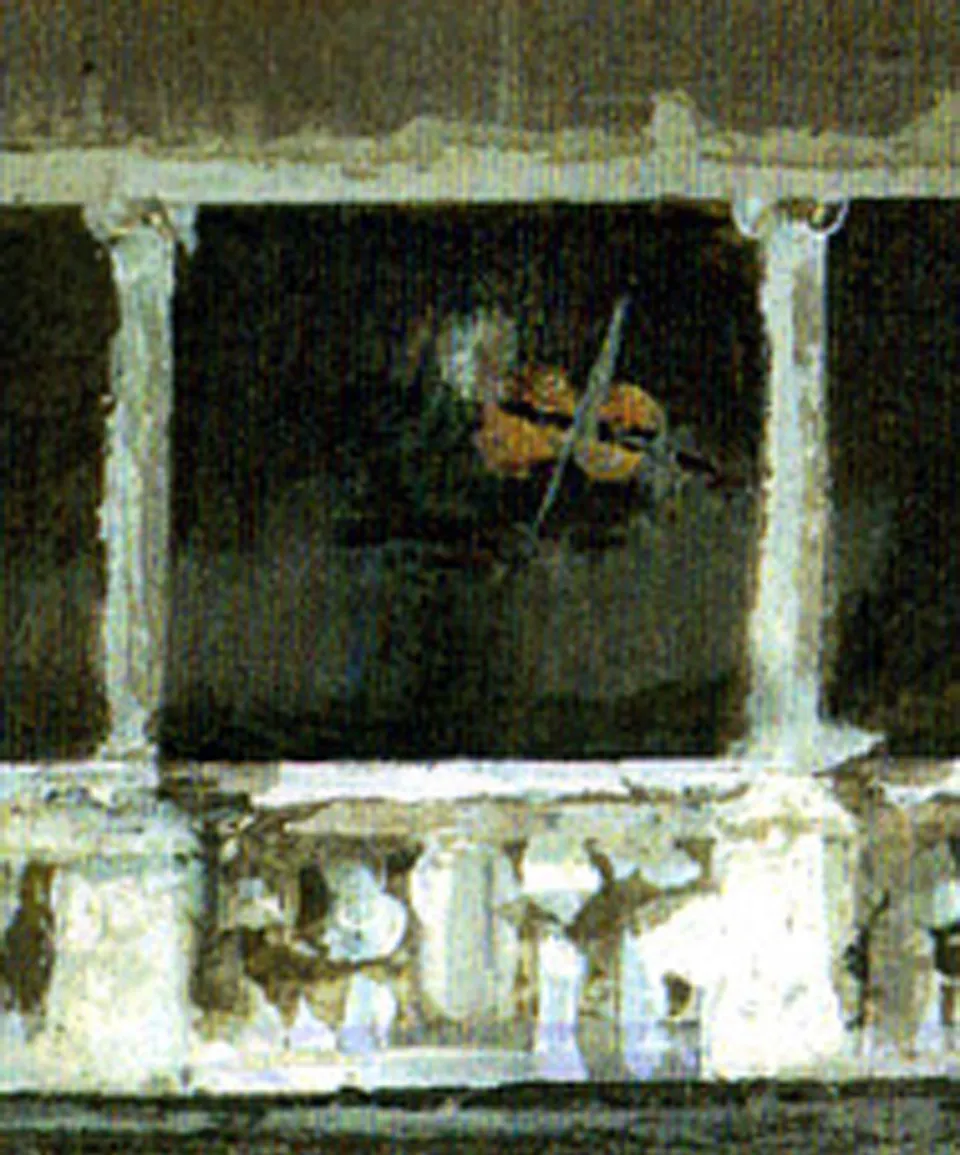 Francesco Santosuosso, Particolare del dipinto VILLA SIMONETTA 2, 2006